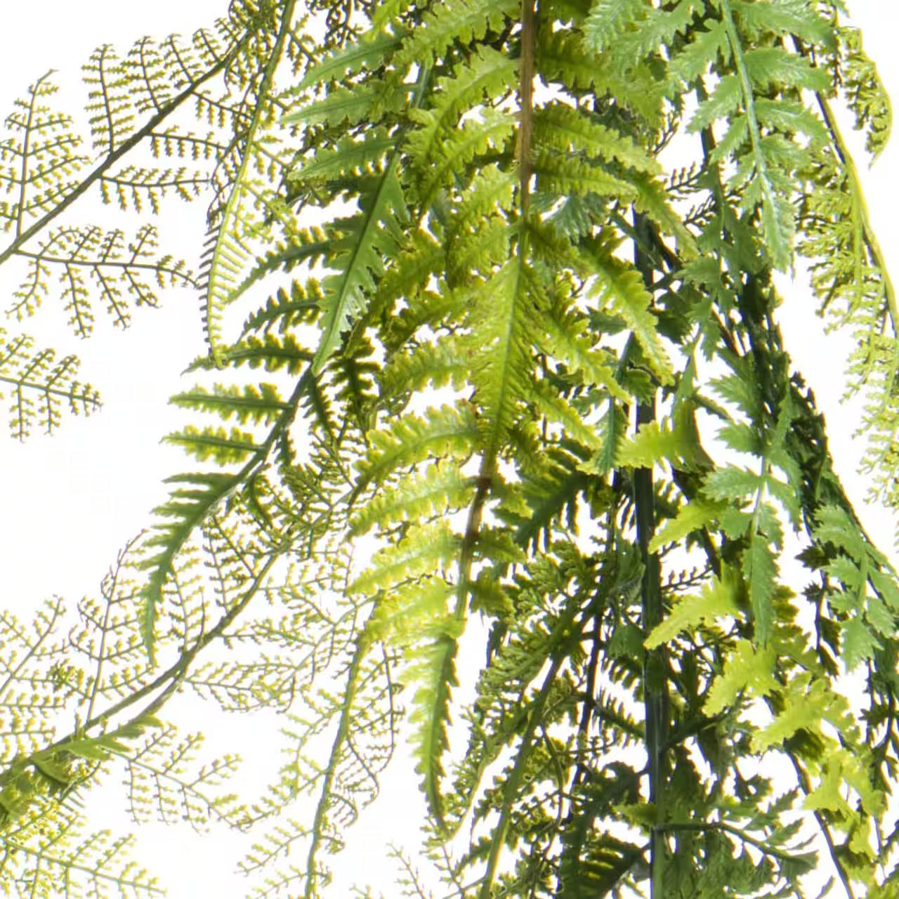 6ft UV Fern Garland – Outdoor & Indoor Artificial Greenery Decor | UV-Resistant Faux Fern by Ashland