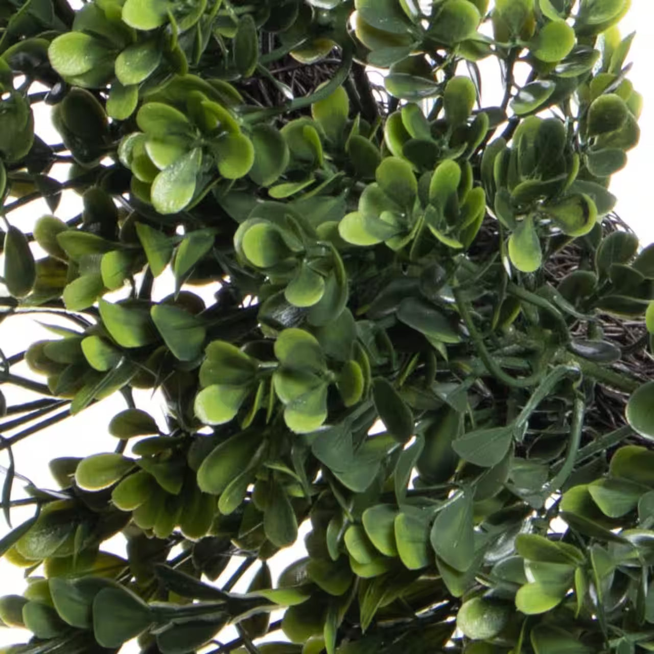 20" UV-Resistant Boxwood Wreath – Artificial Greenery Door Wreath for Spring, Porch & Indoor Home Décor