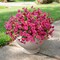 UV-Resistant Artificial Flowers – 10 Bundles Real-Touch Outdoor Faux Plants for Garden, Porch & Patio Décor