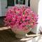 UV-Resistant Artificial Flowers – 10 Bundles Real-Touch Outdoor Faux Plants for Garden, Porch & Patio Décor