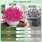 12 Bundles Realistic UV-Resistant Artificial Petunia Flowers for Outdoors – Lifelike Faux Plants with Eucalyptus for Porch, Garden & Patio (Fuchsia)